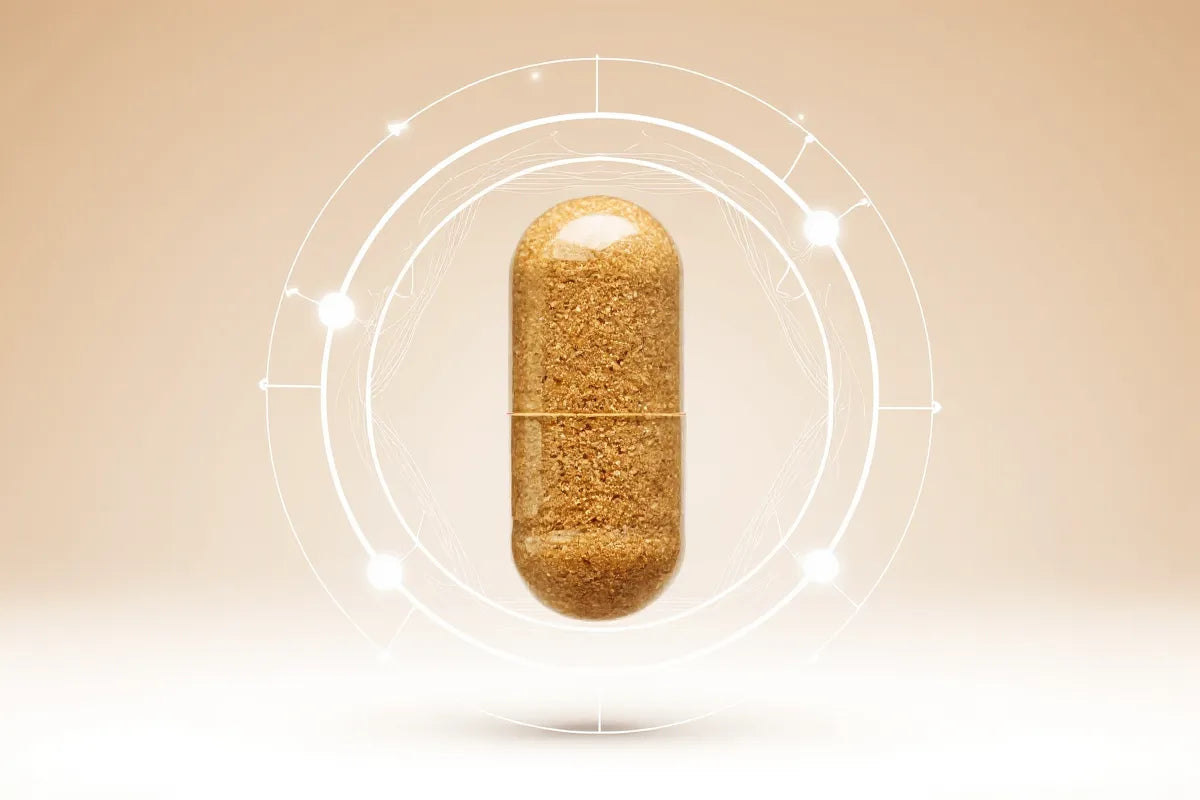 Ashwagandha: The Calm Switch for a Wired Brain