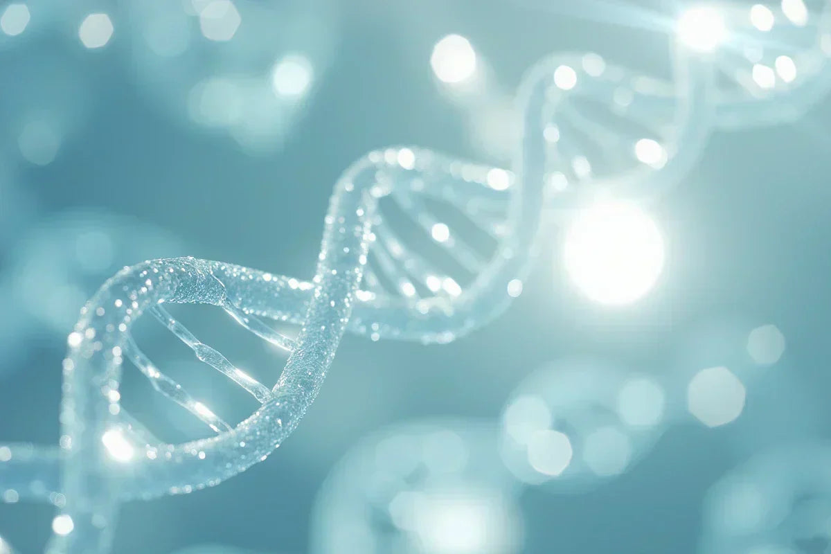 Telomeres: The True Biological Clock